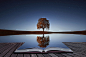 Tree reflection in the book by Bess Hamiti on 500px