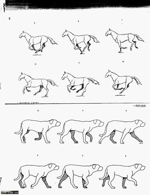 四足动物的运动规律 <wbr>并附经典参...