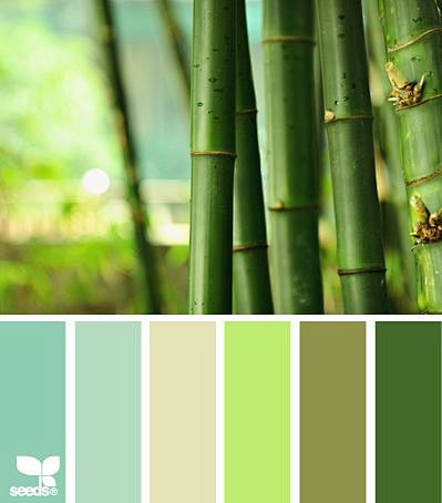 bamboo hues