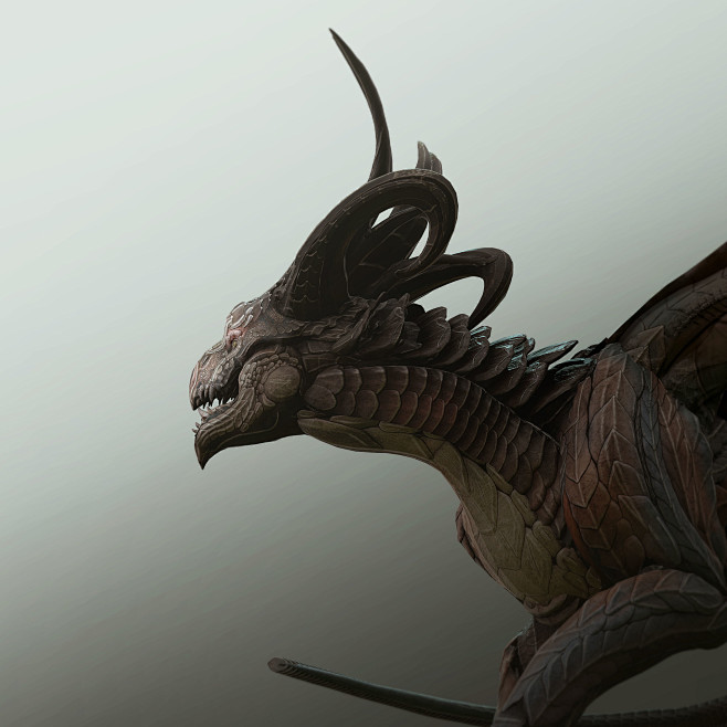 Dragon Study 01, Tyl...