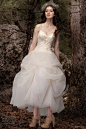 Jenny Lee Spring 2013 wedding dresses