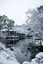 幽兴随雪来，尘心逐雪销。@空谷寻芳 ​​​​