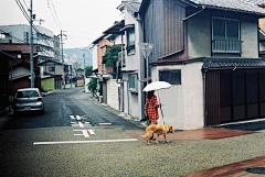 Lynn采集到萤岛国-Japan