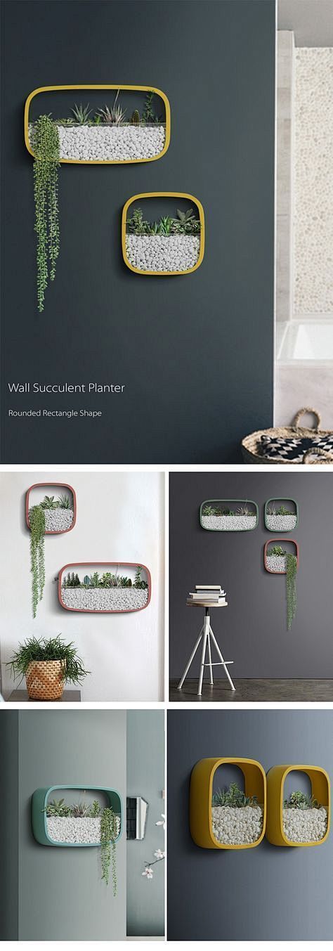 Geometric Wall Plant...