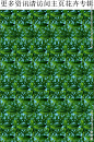 绿色植物 植物装饰 绿叶 热带图片,绿色植物 植物装饰 绿叶 热带模板下载,棕榈叶 热带风情印花 热带植物印花 热带植物图案 植物图案,绿色植物 植物装饰 绿叶 热带设计素材,昵图网：图片共享和图片交易中心