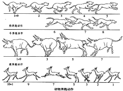 小余3号采集到运动规律