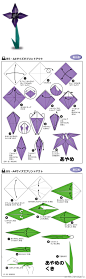 日本折纸教学（一）
瓢虫、小鱼、小猫、小鸟、小鸭子、老鼠、狐狸、花朵