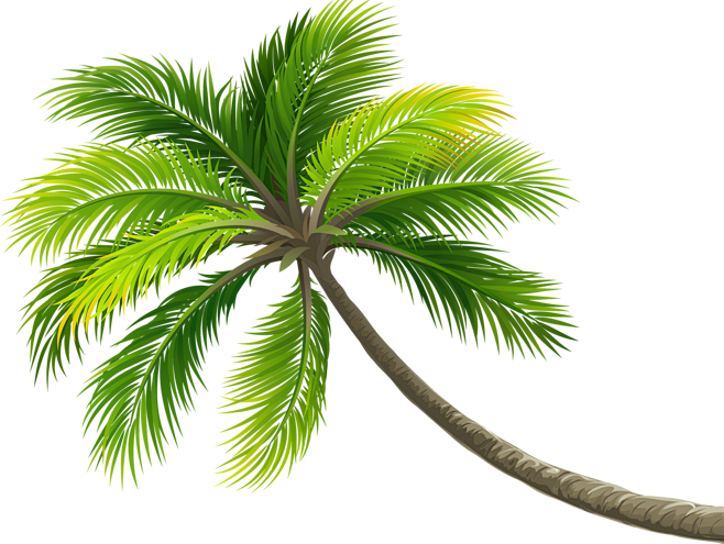 PNG夏季海滩椰子树素材
@灬小狮子灬