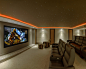 Best Home Cinema Design Ideas & Remodel Pictures | Houzz