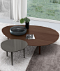 contemporary-design-for-round-coffee-table-Jesse