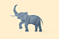 Poly Animals : Low poly illustrations of various animals.
