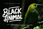 粗体画刷风格英文字体Black Animal Typeface :  