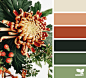 flora palette