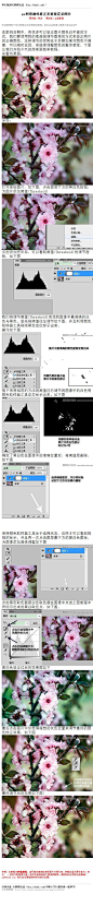 #校正偏色#《photoshop利用曲线修正灰蒙蒙花朵图片》 在数码后期中，有很多可以修正图片颜色白平衡的方式，我们要使用到的是曲线调节图层的方式来修正照片的正确颜色。这样调节的优势在于后期如果对颜色不 教程网址：http://www.16xx8.com/photoshop/jiaocheng/45302.html