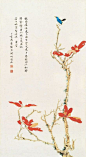 侯碧漪 (1900~2005)