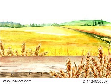 Wheat field with bla...