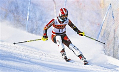 woeapple采集到高山滑雪国际雪联积分