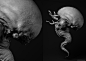 Alien Embryo, Mikkel Frandsen : copyright © Mikkel Holmbo Frandsen 2017. All rights reserved.