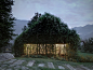 Green Box is a Private Building Designed to be Consumed by Vegetation