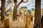 Adelaide-Zoo-Play-Space-Nature-WAX Design-05 « Landscape Architecture Works | Landezine
