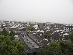 Tyoudy采集到走进姑苏城外寒山寺_weiw