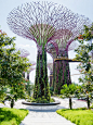 Garden by the Bay - Singapour