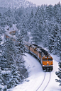 Winter Train