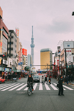 里雾采集到日本