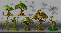 line-1215采集到植物