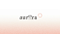 Aurora咖啡公司品牌VI视觉设计