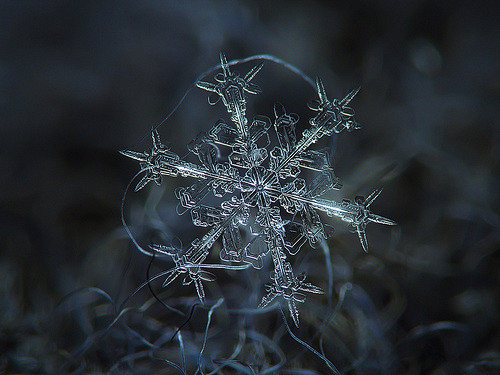 雪花、雪晶摄影 by 设计达人（http...