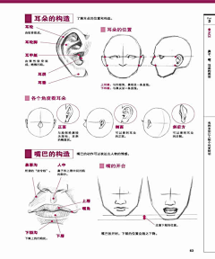 简弥黎采集到简弥。动漫世界