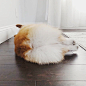 Geordi La Corgi (@lacorgi)的ins主页 · Tofo · Instagram网页版/好用的ins浏览器 (Lookins.me)