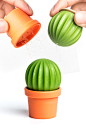 Cactus : Bring the desert to your home with this stylish salt and pepper shaker designed like a barren desert cactus.  The cactus is for salt, and the pot is for pepper, with a touch of these spices, each meal will taste better.  Instructions: The cactus 