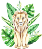 稀有热带动植物剪贴图插画素材Savanna animal & Tropical clipart