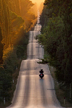 芈籴采集到景与路