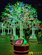 2015年乌节路义安城广场的休闲景观许愿树灯饰
