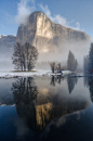 El Capitan in the Morning Fog'