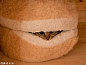 我们都知道猫咪最喜欢钻洞了，简直是无孔不入啊，不信你们可以戳这里。根据它们的这种天性，日本一家叫feline superstar Maru的宠物产品公司开发出来一款喵星人专用汉堡床，等猫咪钻进去的时候就变成炒鸡美味的夹心汉堡啦~~现已加入肯德基豪华午餐。