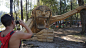 哥本哈根森林的巨型人像木雕-丹麦Thomas Dambo [128P] (40).jpg