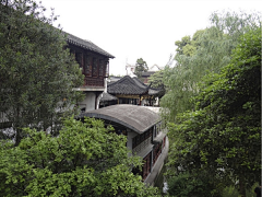 Tyoudy采集到走进姑苏城外寒山寺_weiw