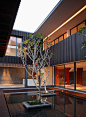 Ocean Drive House I - Singapore - Architecture - SCDA