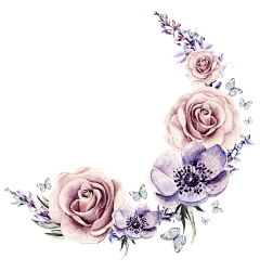 Lilac0826采集到Z-植物花卉