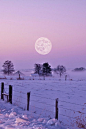 冬季的月光......  令人惊叹！