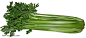 厨房的蔬菜成熟的芹菜图片png免抠元素产品实物背景装饰免扣图片设计图案