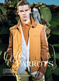 【Editorial】Ralf Javoiss Makes Nice with Parrots for Italian Maxim