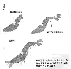 CocoHs悦鸣珂采集到古风画苑