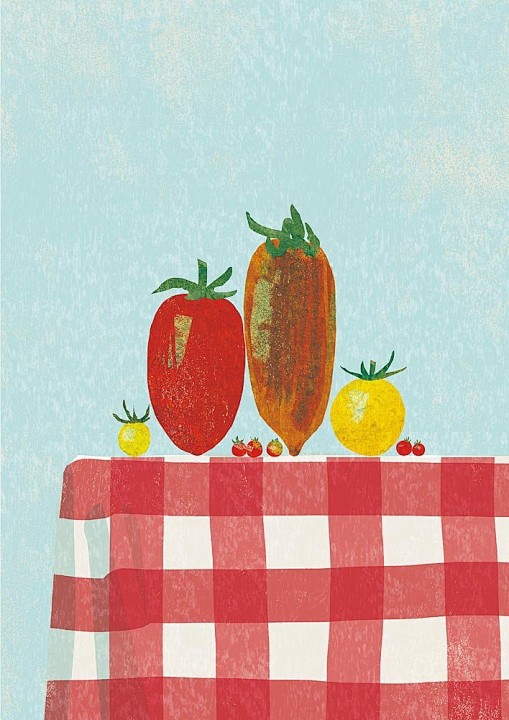 Tomatoes on Behance