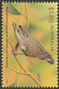雀形目·斑食蜜鸟科·斑翅食蜜鸟属：红眉食蜜鸟