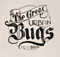 Urban Bugs by Antonio Rodrigues Jr, via Behance